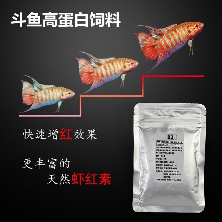 龍魚換新缸多久喂食一次好：如果龍魚在新缸中不吃不喝，我該怎么辦？ 水族問答 第1張