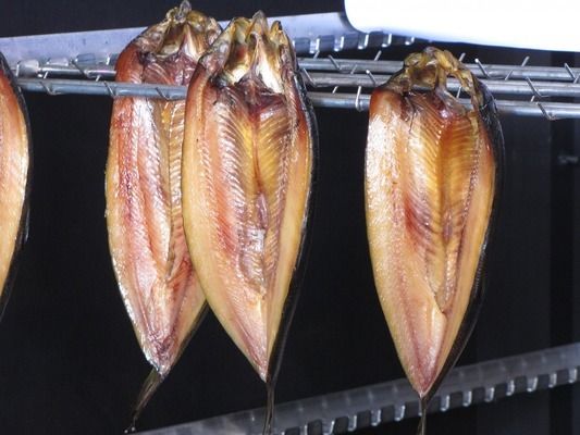 龍魚換魚缸用了麻藥一直不吃：龍魚換到新魚缸后為什么不吃食物？ 水族問答