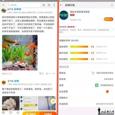 龍魚晃頭張嘴是什么原因造成的：關(guān)于龍魚晃頭張嘴的問題 水族問答 第2張