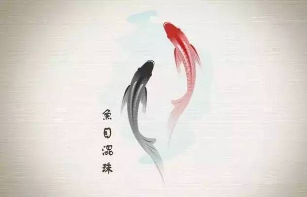 龍魚混養(yǎng)小妙招有哪些：&在混養(yǎng)龍魚時如何處理意外的水質(zhì)變化 水族問答 第1張