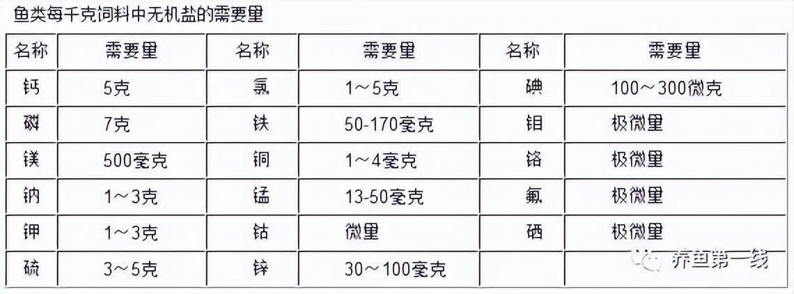 龍魚價(jià)格表：龍魚的價(jià)格范圍是如何確定的？ 水族問答