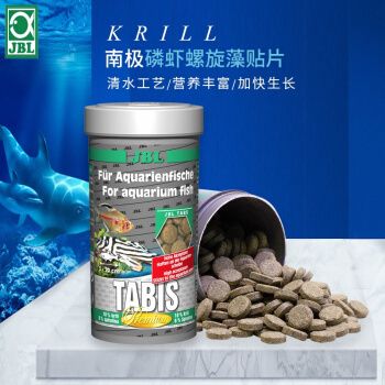 龍魚簡筆畫怎么畫可愛：龍魚簡筆畫的畫法 水族問答