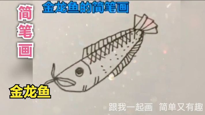 金龍魚兒童畫：金龍魚兒童畫是一種富有教育意義和藝術(shù)價(jià)值的活動(dòng) 龍魚百科 第4張