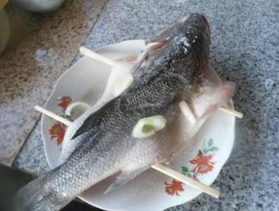 龍魚拒食三個(gè)月怎么辦：龍魚為什么會(huì)拒食三個(gè)月？ 水族問答