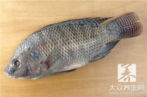 龍魚漲肚子怎么治療vs祥龍魚場：如何預(yù)防龍魚疾病 vs祥龍魚場 第2張