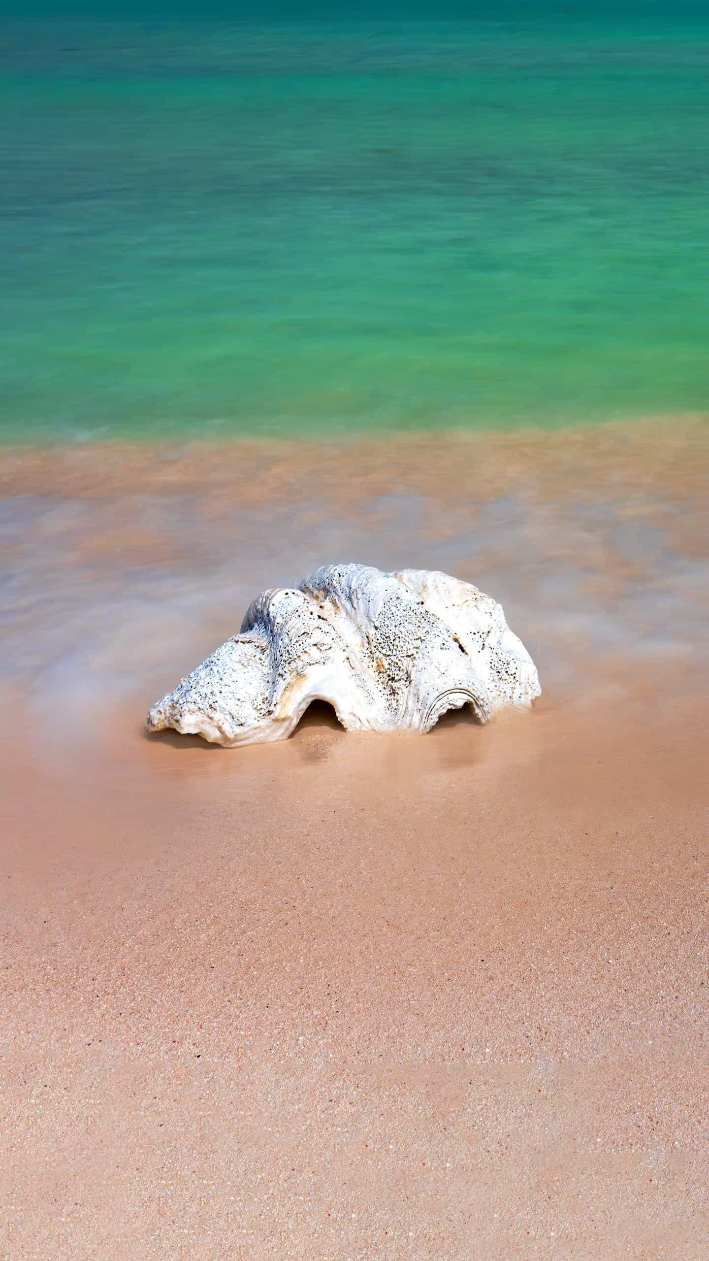 ：科技與生活 觀賞魚(yú)論壇