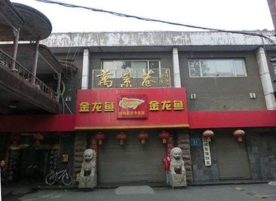 金龍魚(yú)加盟店怎么樣：金龍魚(yú)加盟店市場(chǎng)表現(xiàn)及加盟優(yōu)勢(shì)、品牌影響力影響力提升 龍魚(yú)百科 第4張