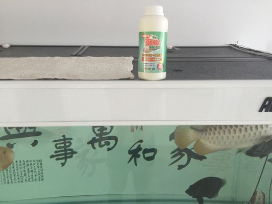 速倍妥飼料適用魚種范圍：速倍妥飼料與其他品牌的比較， 龍魚百科 第2張