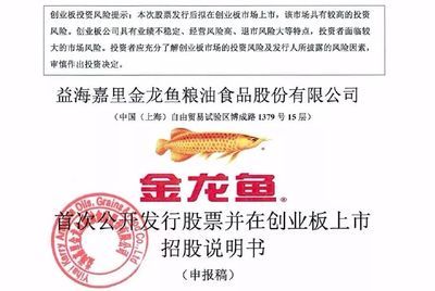 金龍魚案例：金龍魚案例分析 龍魚百科 第3張