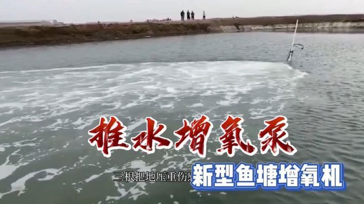 龍魚可以用維生素c嗎：關于龍魚維生素c的問題 水族問答 第1張