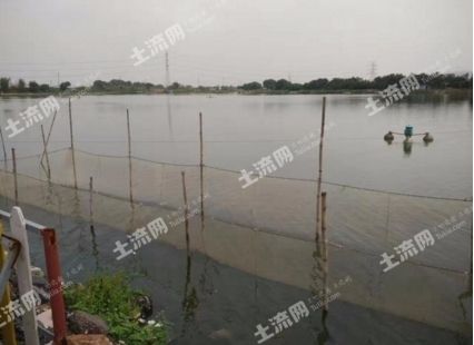 龍魚控食：關(guān)于龍魚控食行為的疑問 水族問答 第2張