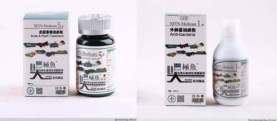 龍魚細菌感染用什么抗生素好呢：治療龍魚細菌感染的抗生素 龍魚百科 第3張