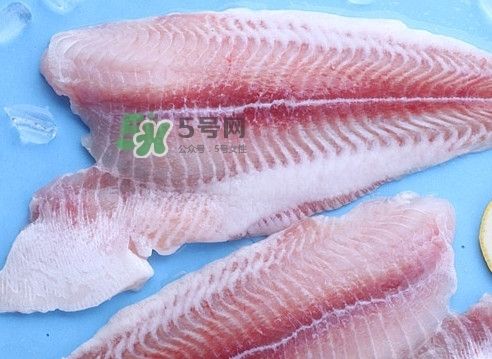 龍魚算不算海鮮：如何辨別龍魚的健康狀態(tài)？ 龍魚百科 第2張