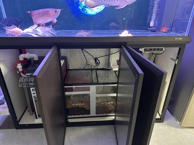 龍魚魚缸廠家電話多少：龍魚魚缸廠家電話查詢方式 龍魚百科 第4張