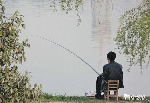 龍魚老趴缸是什么原因：為什么龍魚喜歡老趴缸，龍魚在老趴缸中表現(xiàn)出什么樣的特征 水族問答 第1張