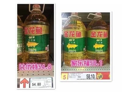 金龍魚好還是93好：金龍魚和93哪個好 龍魚百科 第4張