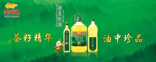 金龍魚理念：金龍魚品牌文化的社會(huì)影響 龍魚百科 第2張