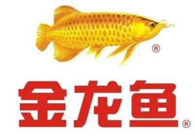 買金龍魚去哪：觀賞金龍魚市場價格對比,金龍魚市場價格對比 龍魚百科 第2張