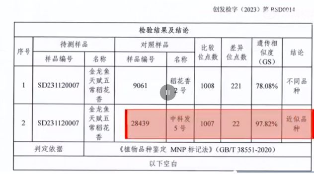 金龍魚為什么暴漲：金龍魚產(chǎn)品價(jià)格未來趨勢 龍魚百科 第1張