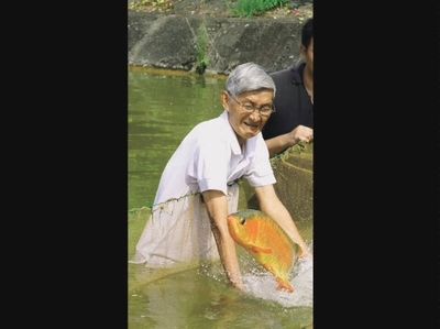 國內(nèi)龍魚繁殖場：中國有龍魚繁殖基地嗎？ 龍魚百科 第5張