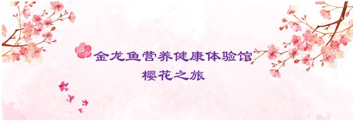 金龍魚(yú)營(yíng)養(yǎng)健康體驗(yàn)館怎么樣：金龍魚(yú)體驗(yàn)館具有多方面的積極特點(diǎn) 龍魚(yú)百科 第3張