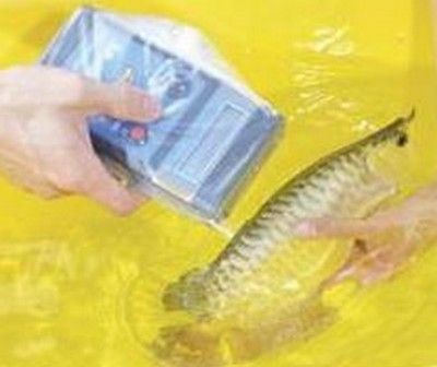 龍魚掃碼什么意思：——龍魚掃碼器使用方法 龍魚百科 第3張