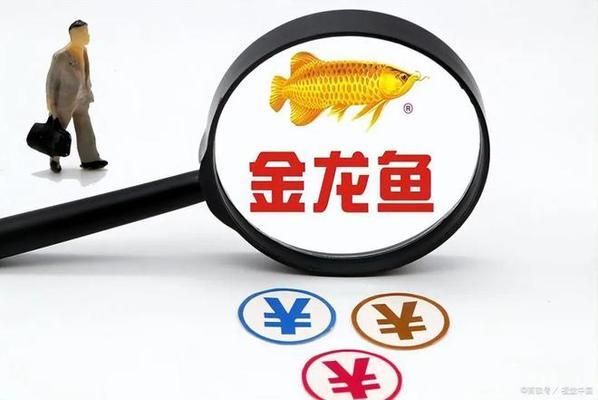 金龍魚產(chǎn)量：金龍魚2024年上半年產(chǎn)量數(shù)據(jù) 龍魚百科 第3張