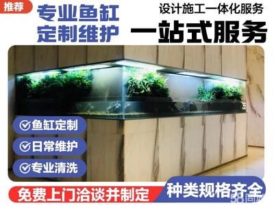 龍魚買回來15天不吃食了：龍魚為什么在買回來的15天內(nèi)不吃食？ 水族問答 第2張