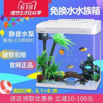 薩伊藍魚與龍魚混養(yǎng)的光照要求：探討薩伊藍魚與龍魚混養(yǎng)的光照需求時需要考慮兩種魚類對光照需求 龍魚百科 第2張