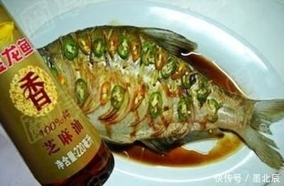 龍魚吃什么魚肉好：如何挑選新鮮魚肉喂龍魚，龍魚飼料品牌推薦 龍魚百科 第4張