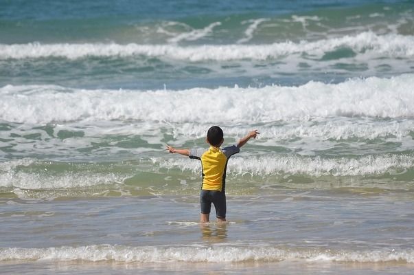 青龍魚的做法大全圖解：幾種不同的青龍魚做法 龍魚百科 第2張