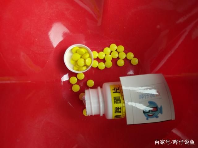 月光鴨嘴魚腸炎的日常預防方法：月光鴨嘴魚腸炎的預防 龍魚百科 第5張