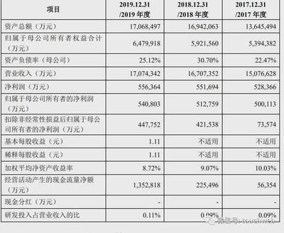 金龍魚(yú)總資產(chǎn)：金龍魚(yú)2017-2021年總資產(chǎn)分析 龍魚(yú)百科 第5張