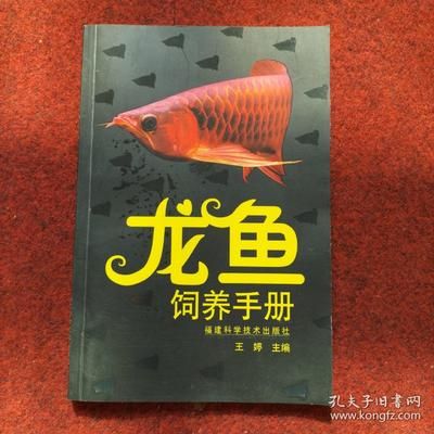 龍魚飼養(yǎng)方法和技術(shù)：關(guān)于龍魚飼養(yǎng)的方法和技術(shù) 龍魚百科 第4張