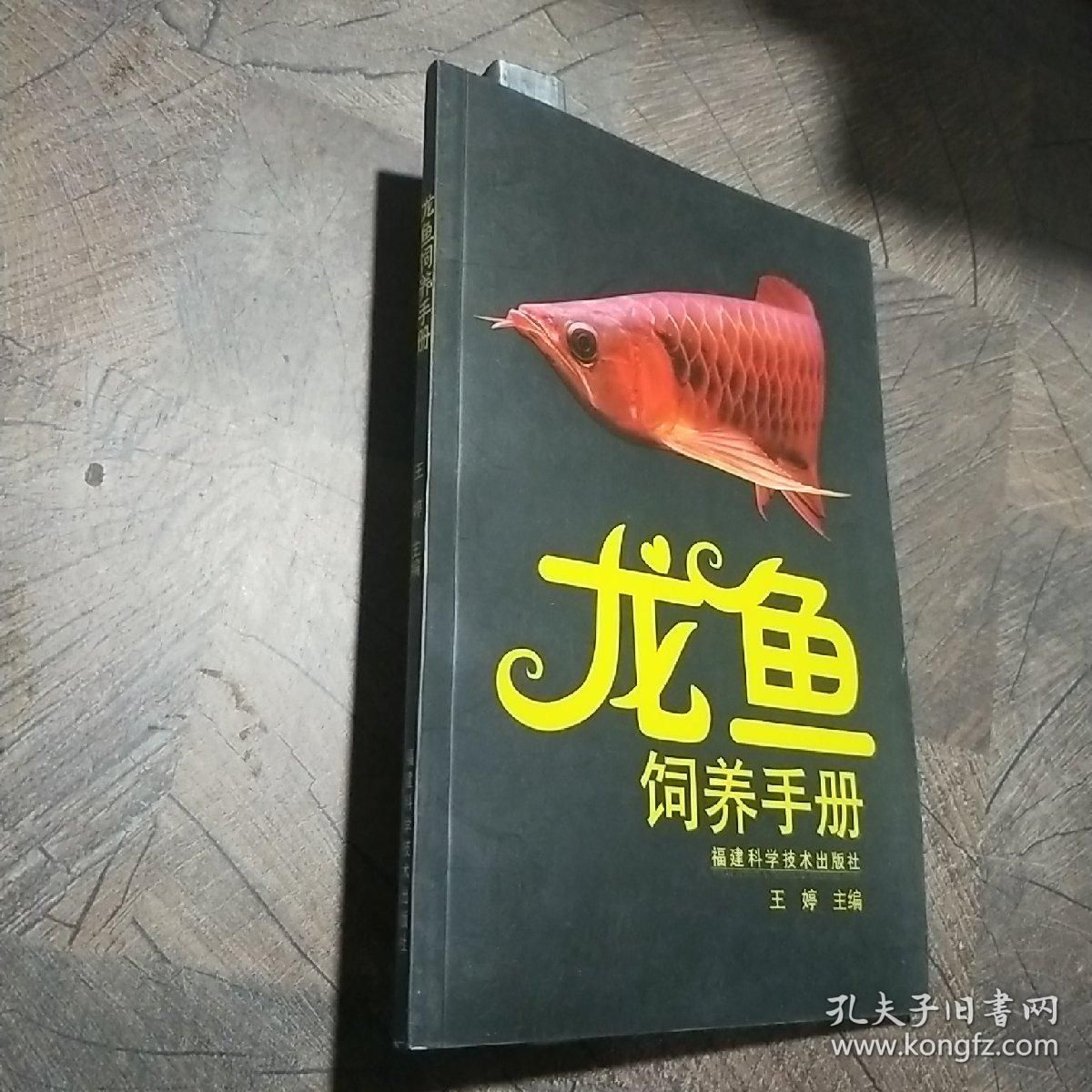 龍魚飼養(yǎng)方法和技術(shù)：關(guān)于龍魚飼養(yǎng)的方法和技術(shù) 龍魚百科 第5張