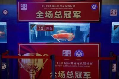 龍魚錦標賽冠軍獎金多少錢一個：長城杯龍魚錦標賽冠軍獎金多少？