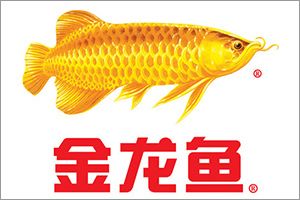 金龍魚(yú)天津總代理在哪里：金龍魚(yú)在天津地區(qū)的總代理信息 龍魚(yú)百科 第2張