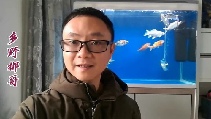 龍魚蒙眼的原因和治療方法是什么：為什么龍魚會(huì)蒙眼？ 水族問(wèn)答 第2張