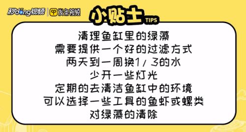 龍魚缸除綠藻的最好方法：綠藻爆發(fā)對(duì)龍魚健康的影響，魚缸光照控制技巧分享 龍魚百科 第4張