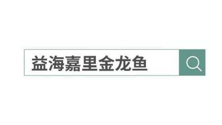 金龍魚宣傳片文案：金龍魚———傳承與創(chuàng)新的完美演繹 龍魚百科 第5張