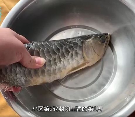 金龍魚(yú)的味道怎么樣好聞嗎：金龍魚(yú)產(chǎn)品健康成分解析 龍魚(yú)百科 第3張