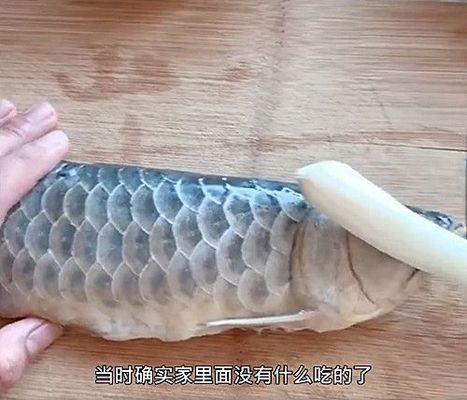 金龍魚(yú)的味道怎么樣好聞嗎：金龍魚(yú)產(chǎn)品健康成分解析 龍魚(yú)百科 第2張