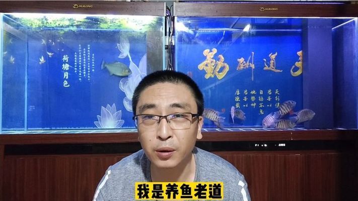 龍魚哪里進(jìn)貨：關(guān)于龍魚的進(jìn)貨渠道的問題 水族問答