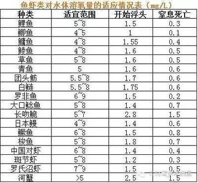 龍魚哪里買：如何挑選一條好的龍魚 水族問答 第2張