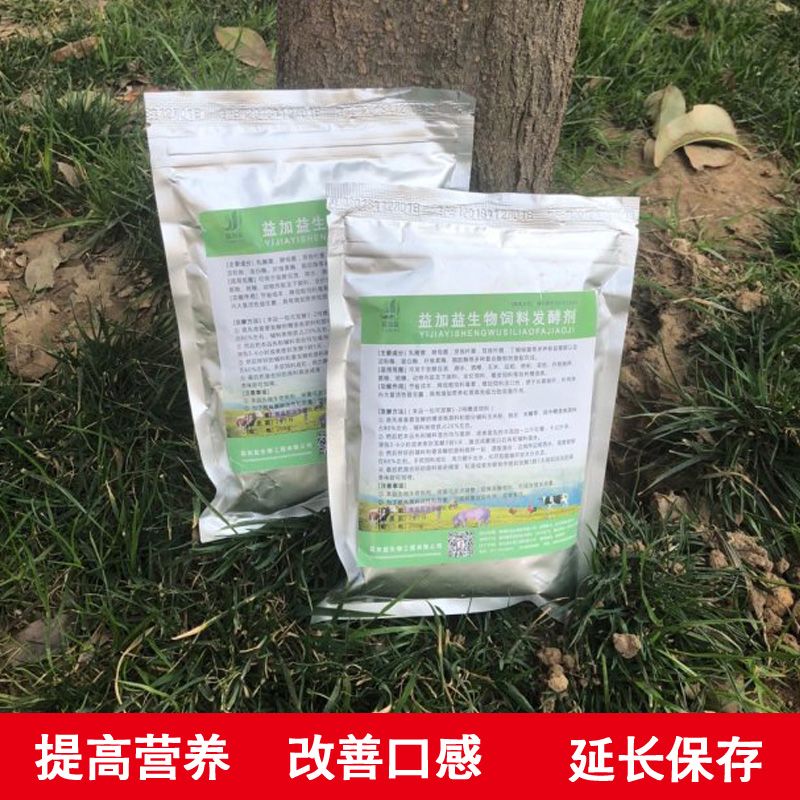 龍魚趴缸嘴巴一張一張：為什么龍魚會(huì)趴在缸底？ 水族問答 第1張