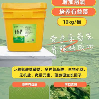 龍魚批發(fā)市場價格表最新消息：龍魚批發(fā)市場最新價格表顯示 水族問答 第1張