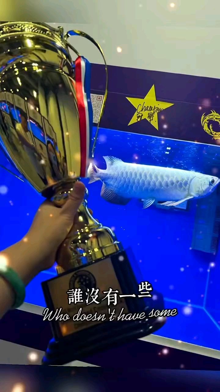 2024新加坡國際龍魚錦標(biāo)賽：2019新加坡國際龍魚錦標(biāo)賽