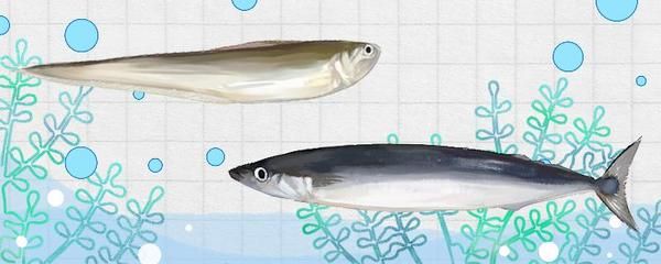 龍魚(yú)腮部鼓包怎么治療：龍魚(yú)的腮部鼓包是什么引起的？ 水族問(wèn)答 第1張