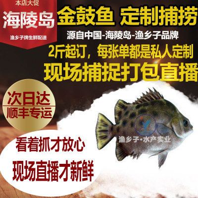 金鼓魚(yú)飼料選擇指南：自制金鼓魚(yú)飼料配方,金鼓魚(yú)飼料保存方法 非洲金鼓魚(yú) 第4張