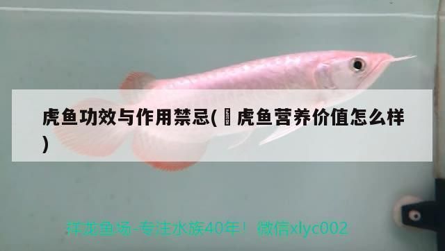 維生素E在金鼓魚(yú)飼料中的作用：維生素e在金鼓魚(yú)飼料中添加了維生素e，提高其生長(zhǎng)速度 非洲金鼓魚(yú) 第3張